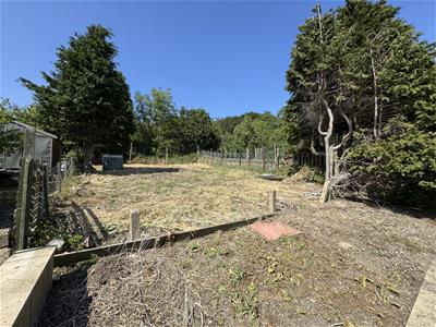 Picture 23